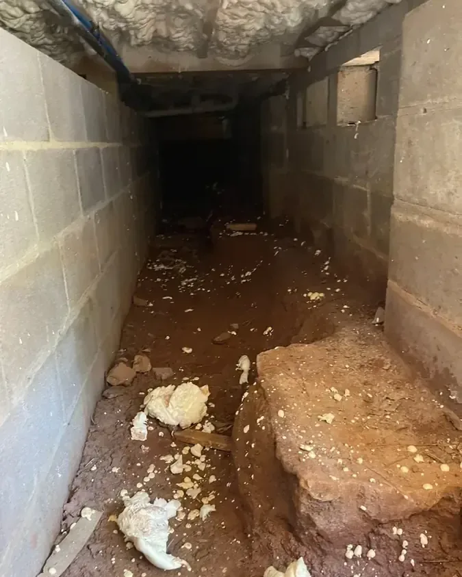 Storm flooding cleanup on the lower level of a home