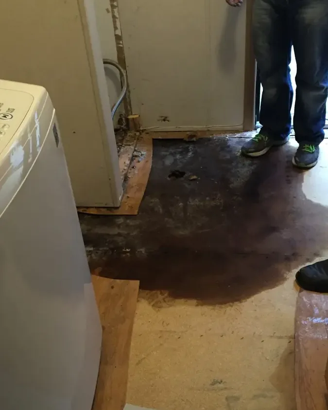 Water spread across a laundry room floor beside a washing machine