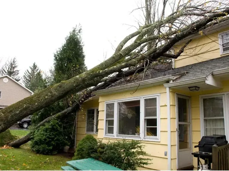 A storm damaged house with a tree across its roof, a Covington example.