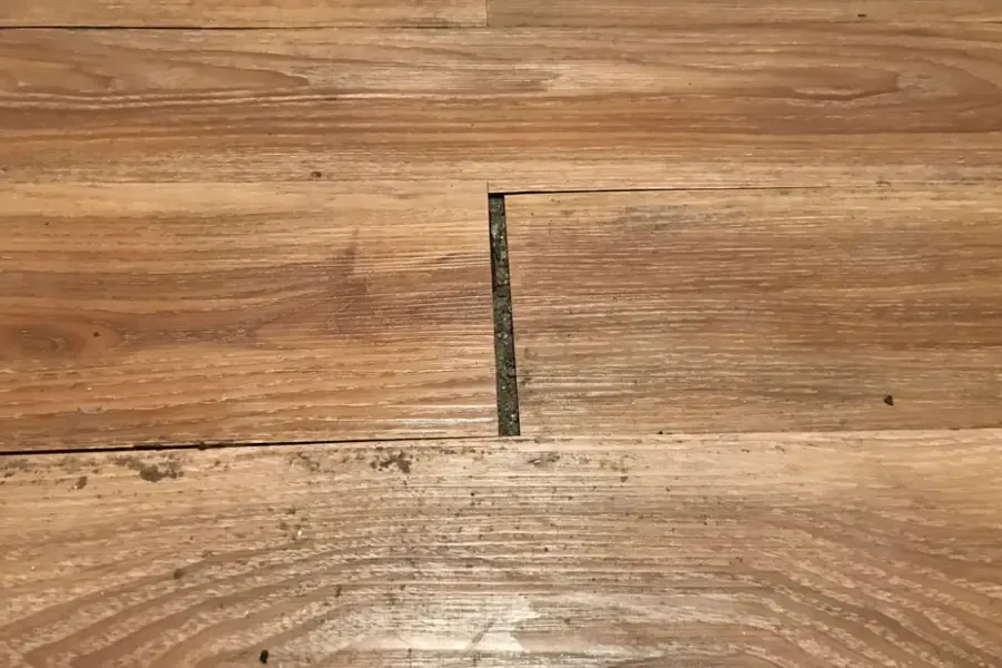 Floor planks separating at the seams over a wet concrete slab